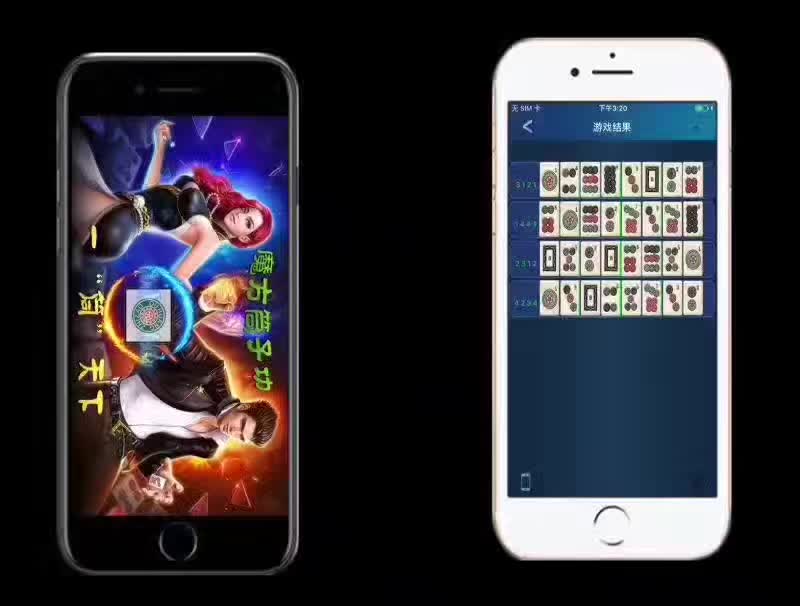 魔方普通筒子分析仪——百动不乱,自动还原